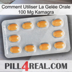 Comment Utiliser La Gelée Orale 100 Mg Kamagra cialis3